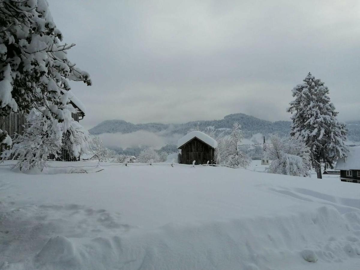 Bergoase Hohenegg Villa Lingenau Exteriör bild
