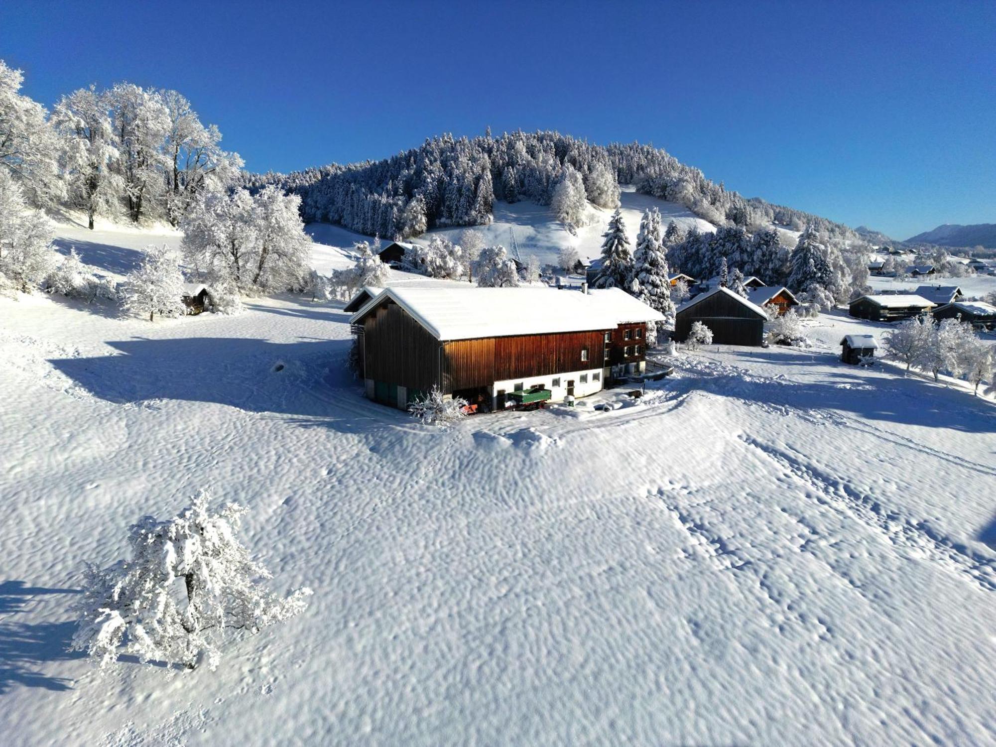 Bergoase Hohenegg Villa Lingenau Exteriör bild