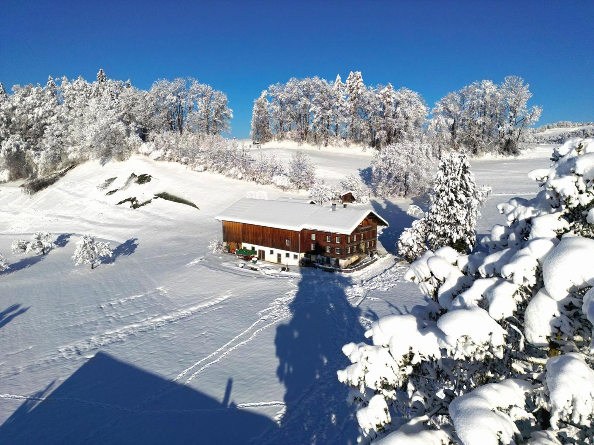 Bergoase Hohenegg Villa Lingenau Exteriör bild