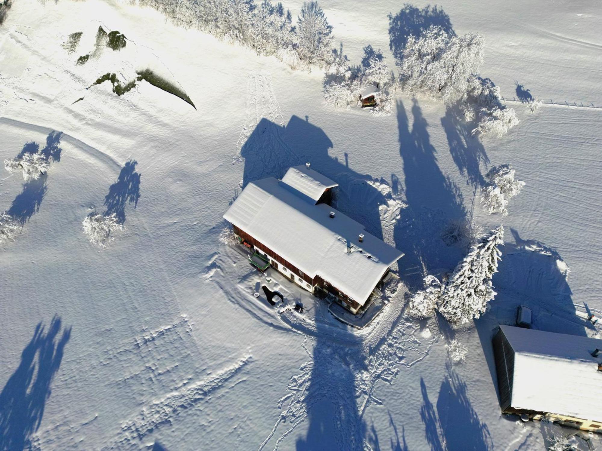 Bergoase Hohenegg Villa Lingenau Exteriör bild