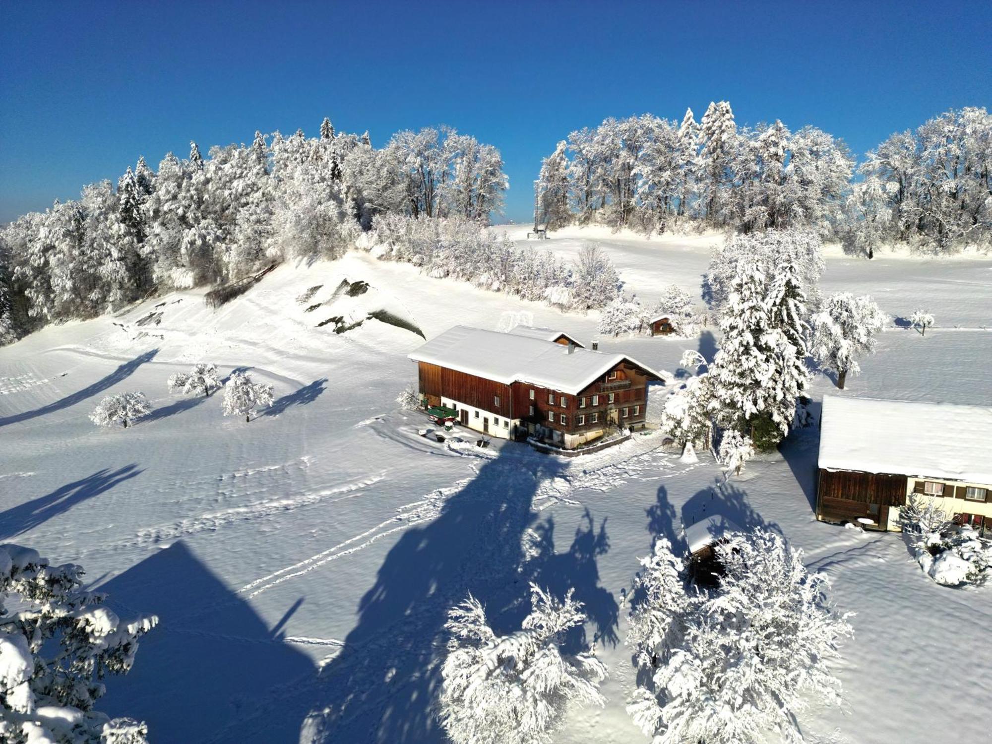 Bergoase Hohenegg Villa Lingenau Exteriör bild