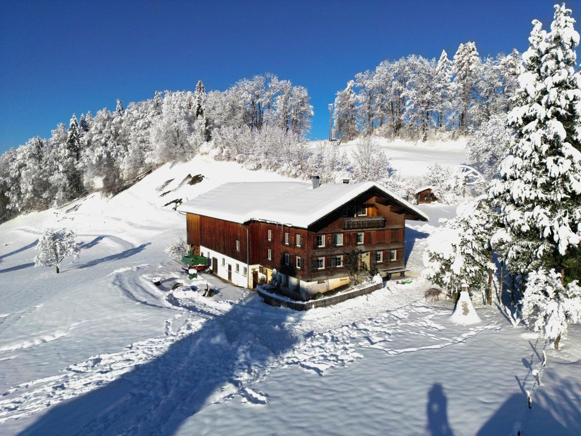 Bergoase Hohenegg Villa Lingenau Exteriör bild