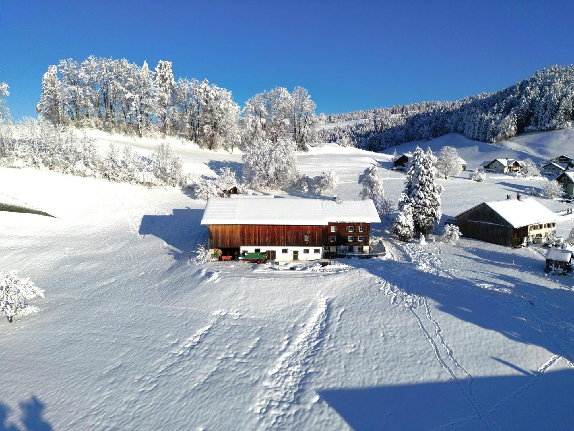 Bergoase Hohenegg Villa Lingenau Exteriör bild